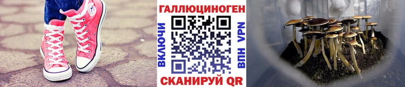 Псилоцибиновые грибы мухоморы  Верхнеуральск 